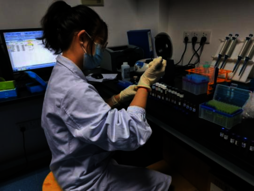 640 (3)